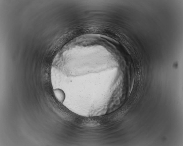 X0000115540553200911271413