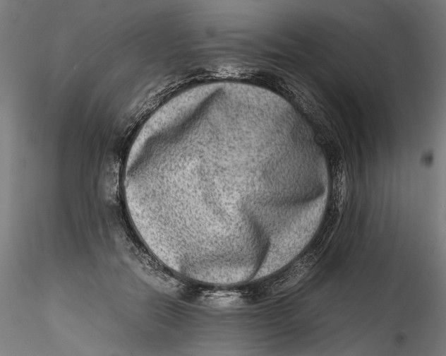 X0000115540554200911271413