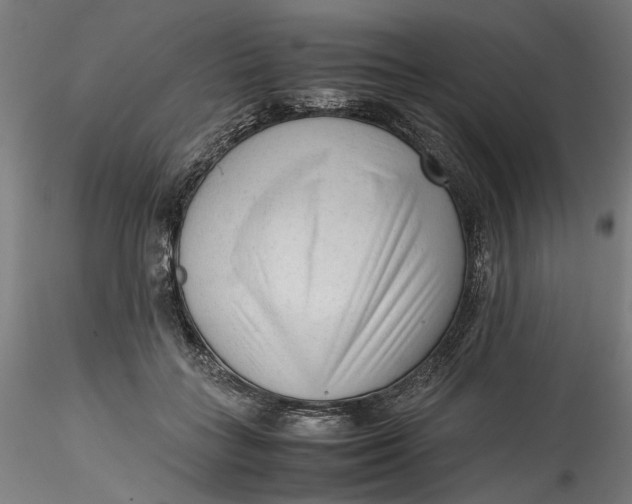 X0000115540555200911271413