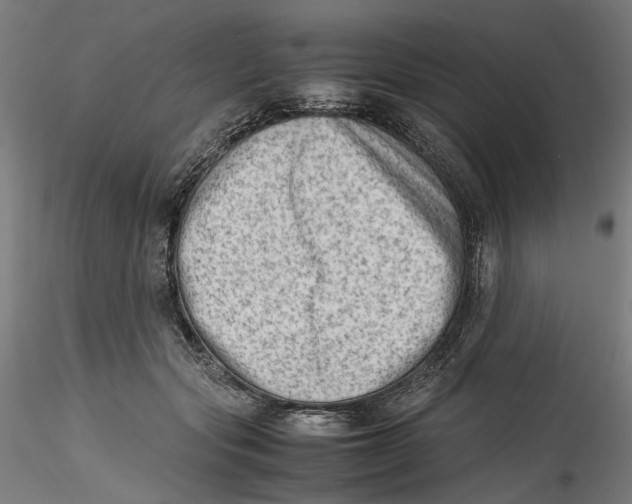 X0000115540557200911271413