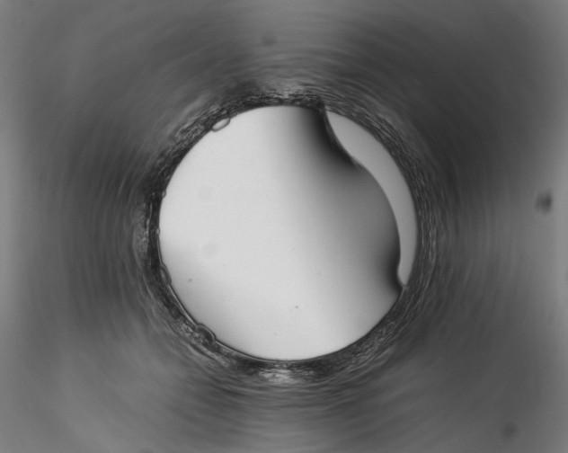 X0000115540558200911271413