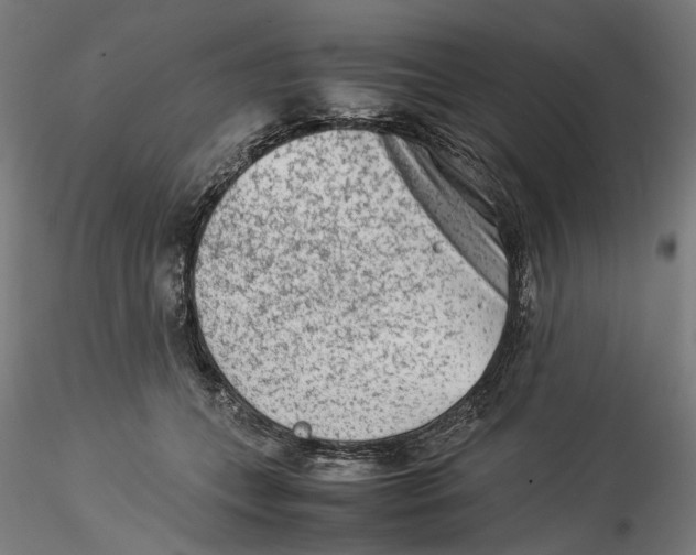 X0000115540559200911271413