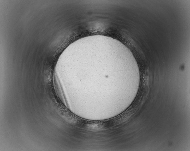 X0000115540561200911271413