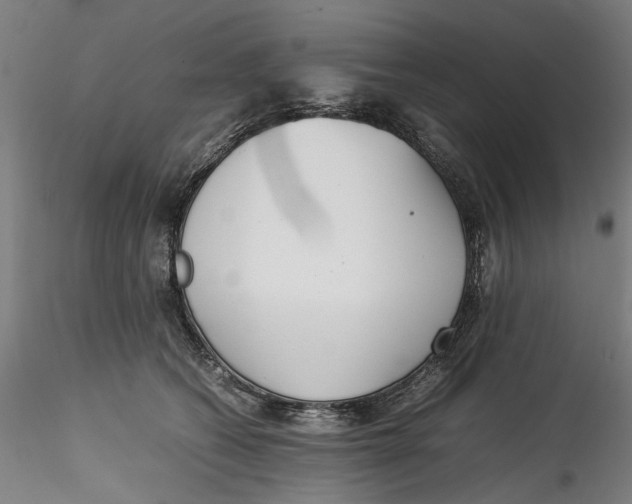 X0000115540562200911271413