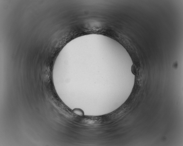 X0000115540563200911271413