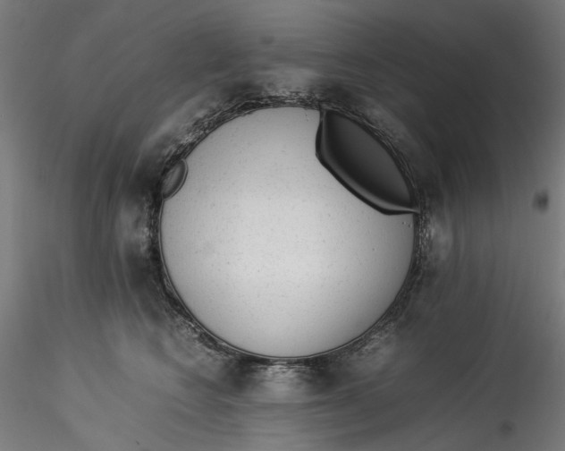 X0000115540566200911271413