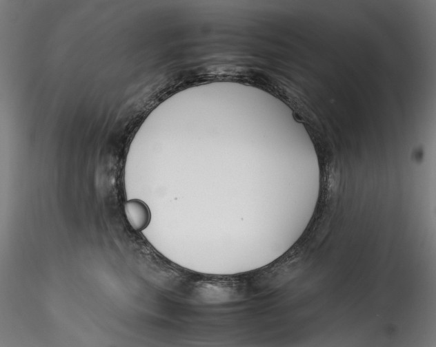 X0000115540567200911271413