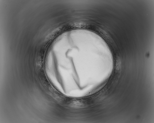 X0000115540569200911271413