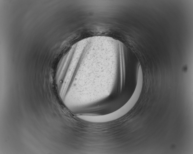 X0000115540570200911271413