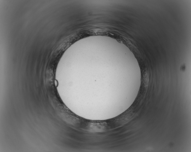 X0000115540571200911271413