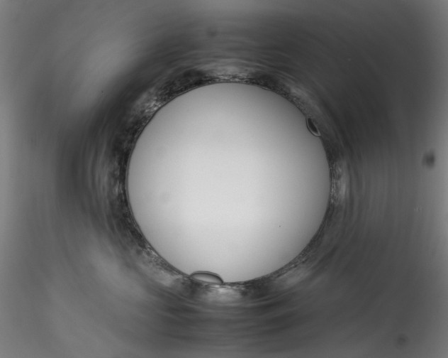 X0000115540573200911271413