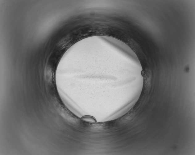 X0000115540574200911271413