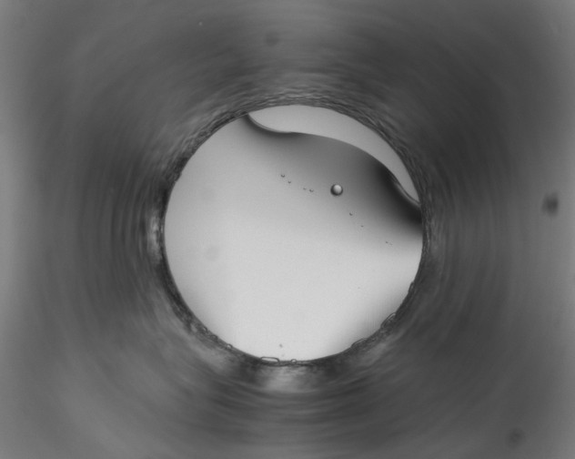 X0000115540575200911271413