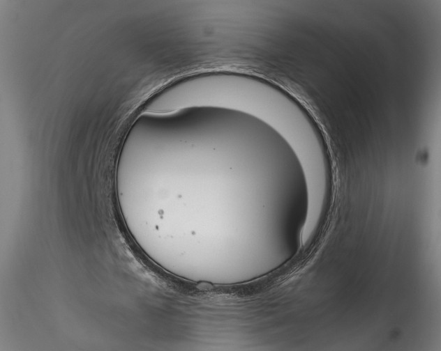 X0000115540577200911271412