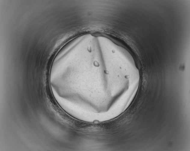 X0000115540578200911271412