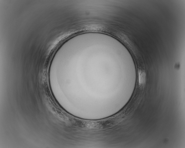 X0000115540579200911271412