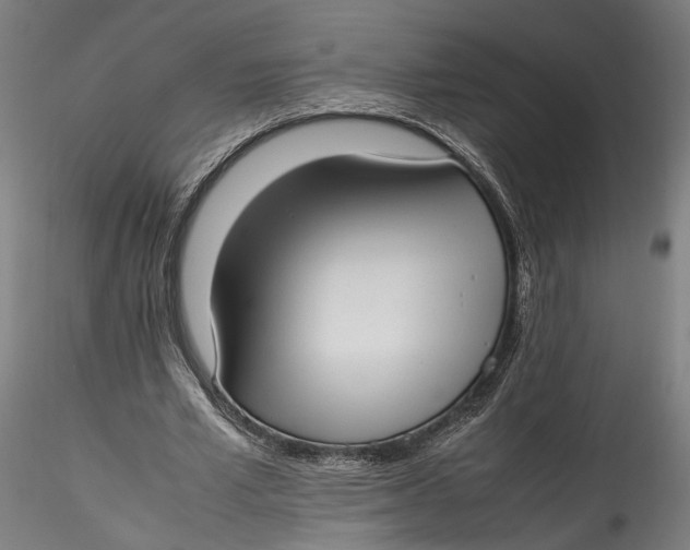 X0000115540581200911271412