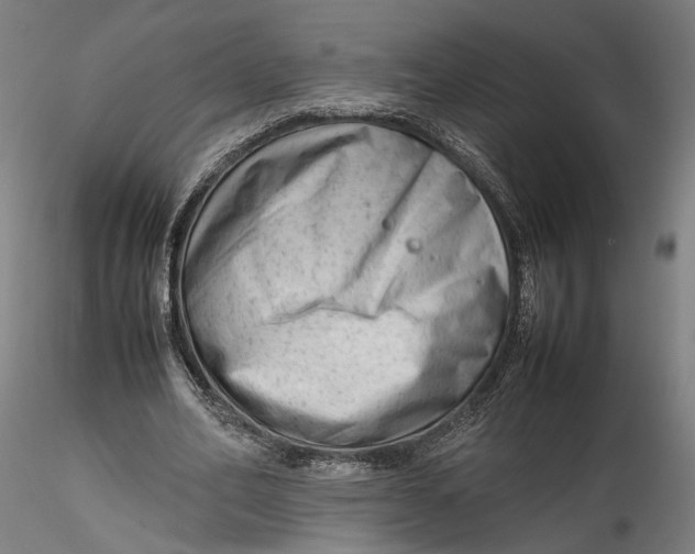 X0000115540582200911271412