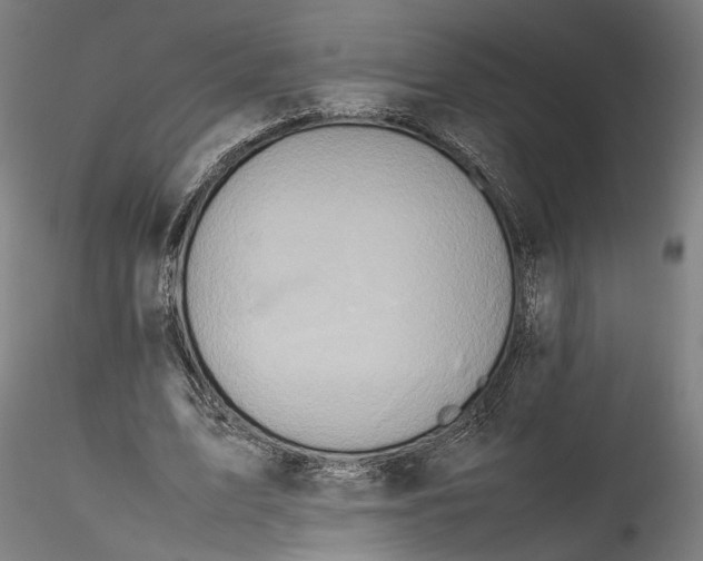 X0000115540583200911271412