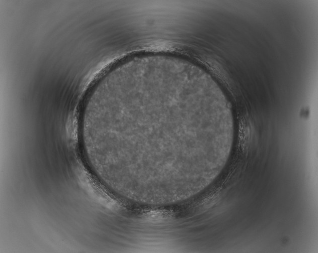 X0000115540584200911271412