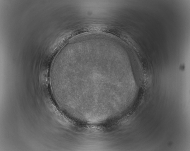 X0000115540585200911271412