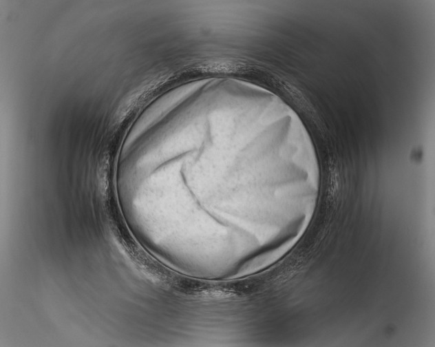 X0000115540586200911271412