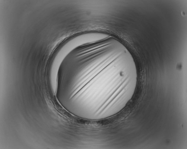 X0000115540587200911271412