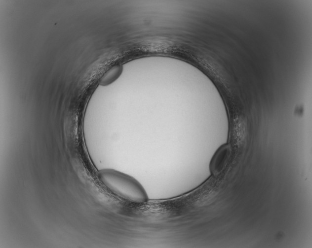 X0000115540589200911271412