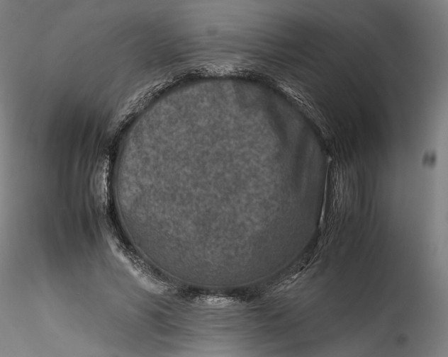 X0000115540590200911271412