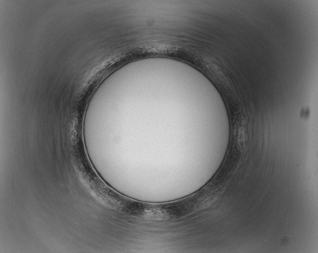 X0000115540591200911271412