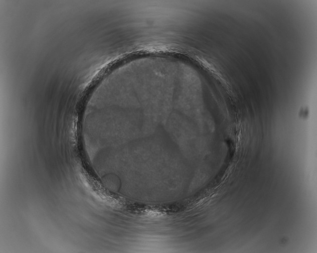 X0000115540592200911271412