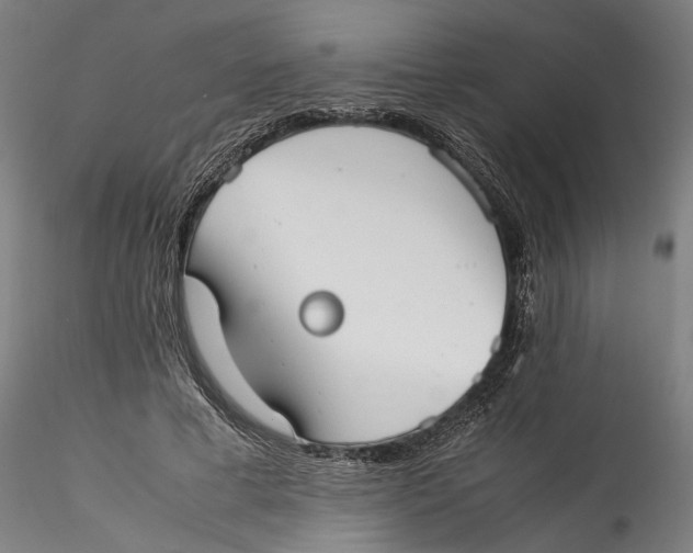 X0000115540593200911271412