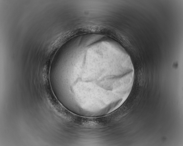 X0000115540594200911271412