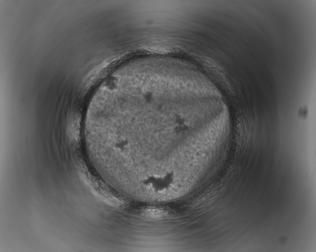 X0000115540596200911271412