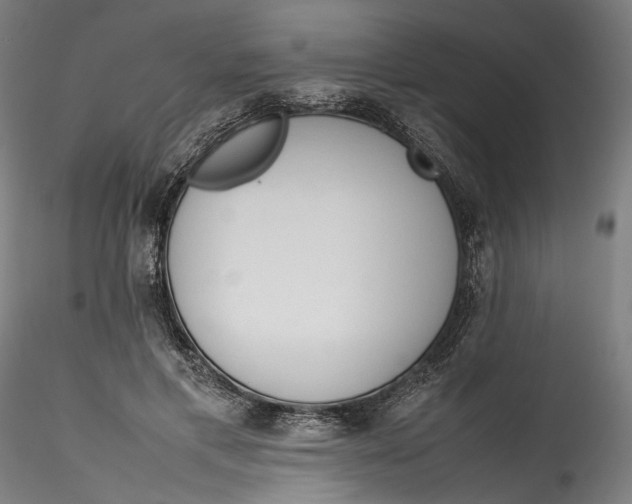 X0000115540597200911271412