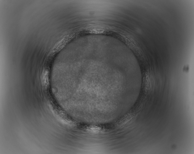 X0000115540598200911271412