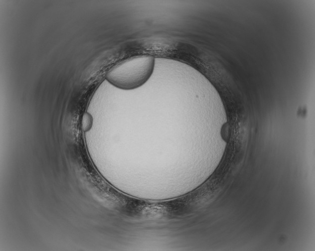 X0000115540599200911271412