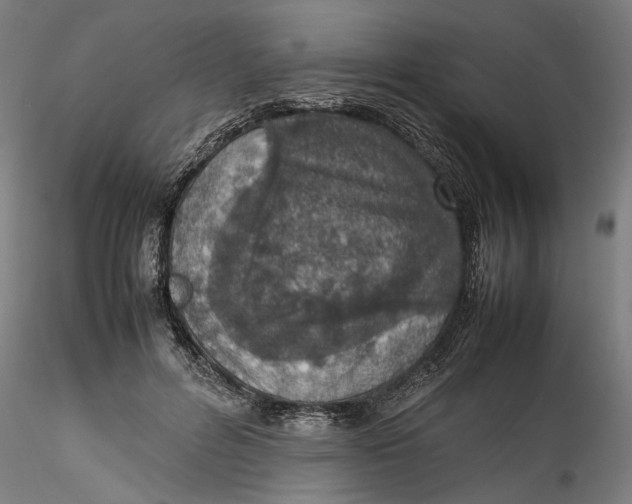 X0000115540600200911271412