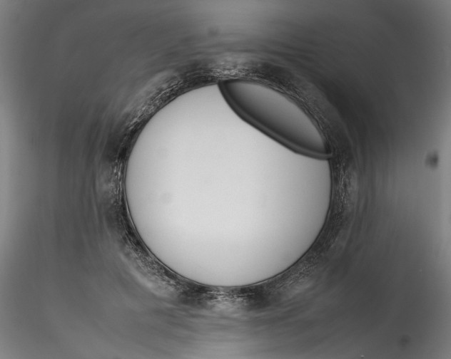 X0000115540601200911271412