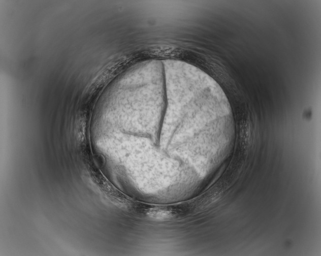 X0000115540602200911271412