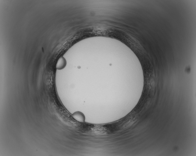 X0000115540603200911271412