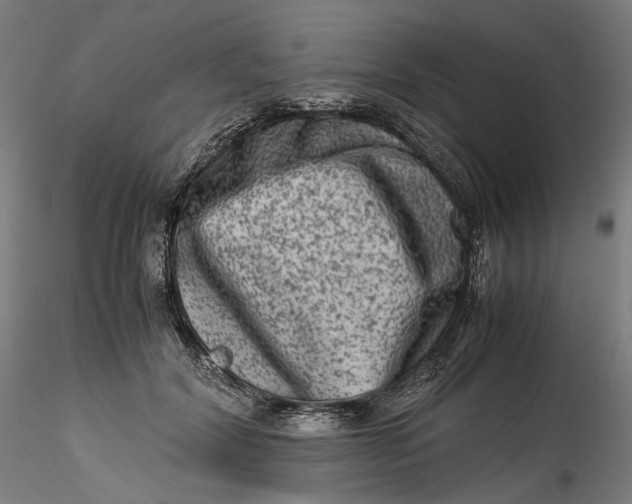 X0000115540604200911271412