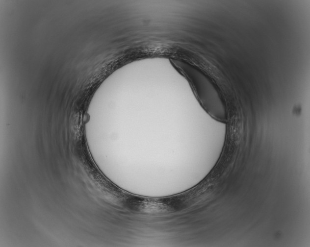 X0000115540605200911271412