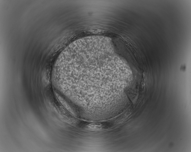 X0000115540606200911271412