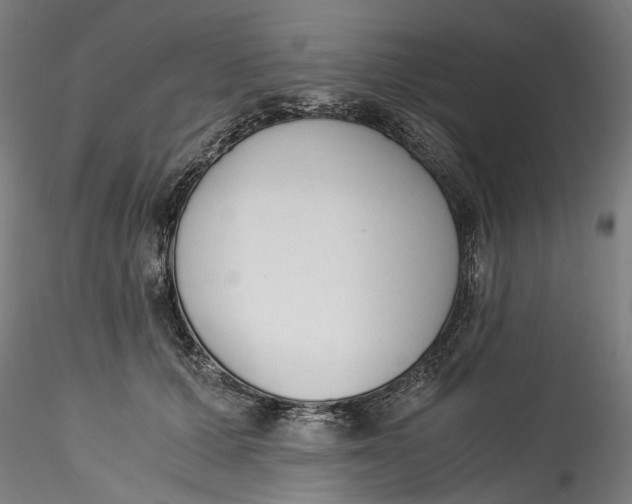 X0000115540607200911271412