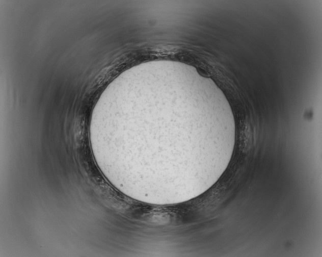 X0000115540608200911271412