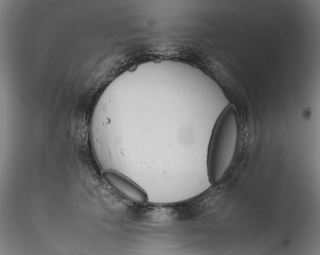 X0000115540609200911271412