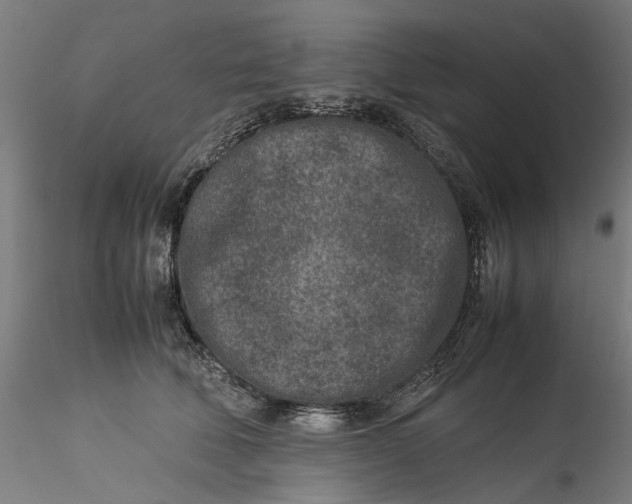 X0000115540610200911271412