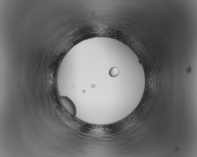 X0000115540611200911271412