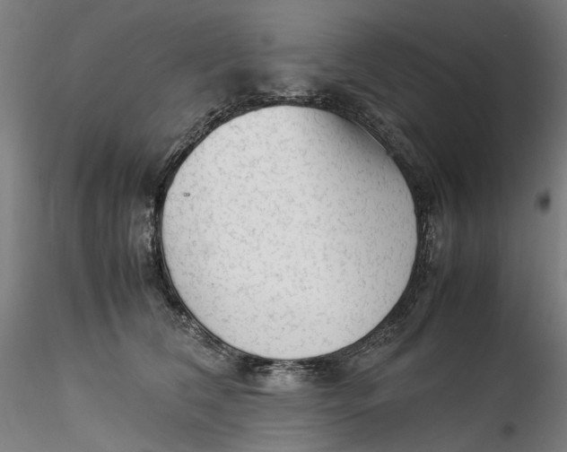 X0000115540612200911271412